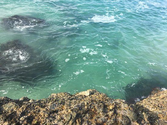 Laguna Beach Pirate Tower